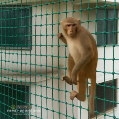 Anti Monkey protection safety net by sportsnetfactory.in
