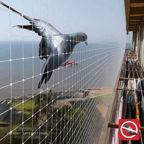 White Anti bird Nets with by sportsnetfactory.in-min