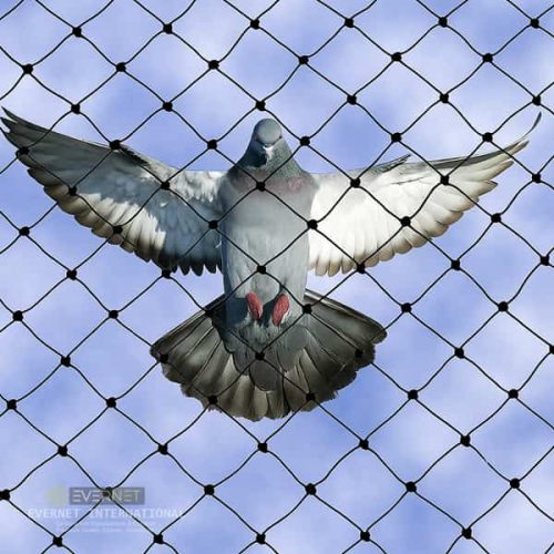 black 01 Anti bird Nets by sportsnetfactory.in-min