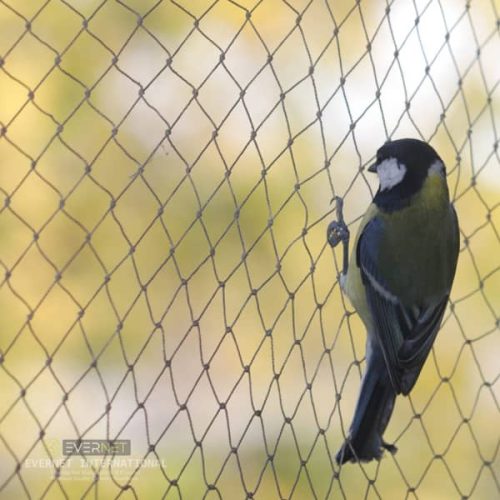 black Anti bird Nets by sportsnetfactory.in